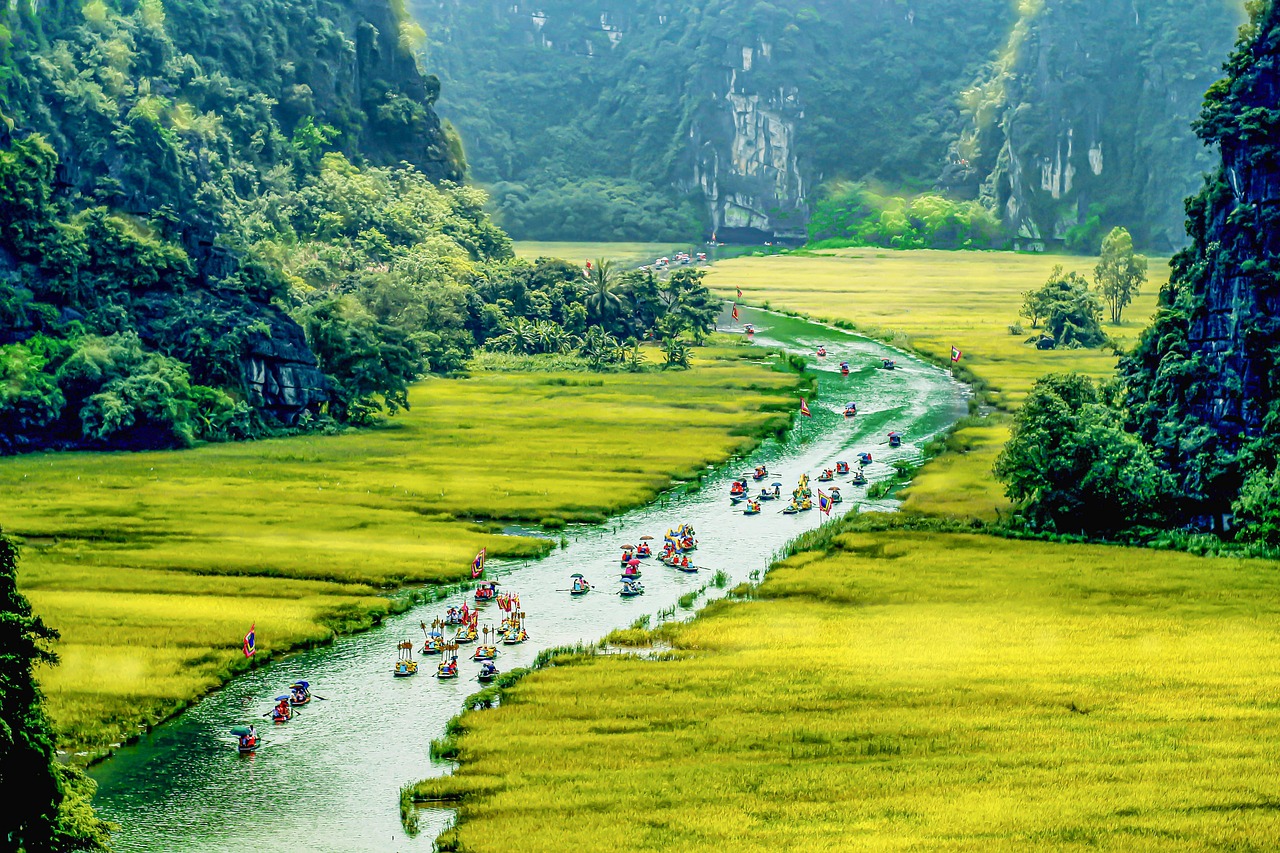 Cánh đồng lúa vàng ươm đẹp như tranh vẽ tại Ninh Bình. (Ảnh: kho ảnh Pixabay)